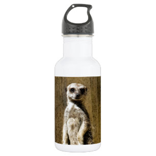 Neugieriges stehendes Meerkat - Suricata suricatta Trinkflasche