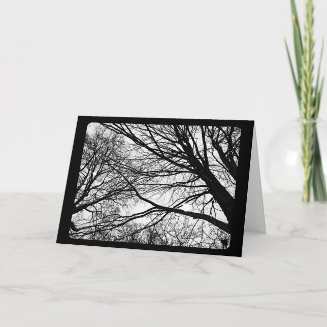 Neujahr & Solstice: Ahornschlag Feiertagskarte (Vorderseite)