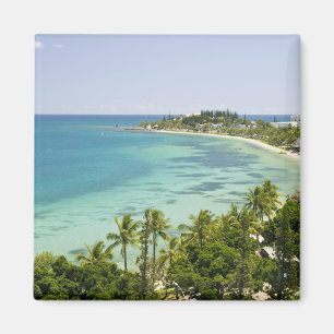 Neukaledonien, Grande Terre Island, Noumea. Anse 2 Magnet
