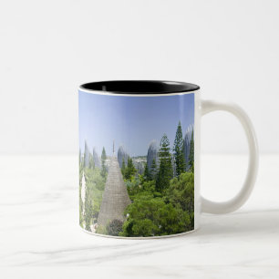 Neukaledonien, Grande Terre, Noumea. Zweifarbige Tasse