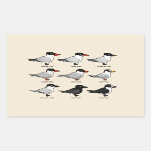 Neun Birdorable Terns (gekennzeichnet) Rechteckiger Aufkleber
