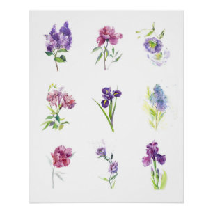 Neun Frühlingsblumen Botanische Aquarellmalerei Poster