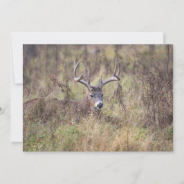Neun Point Buck, die unbedruckte Notecard ablegen Dankeskarte