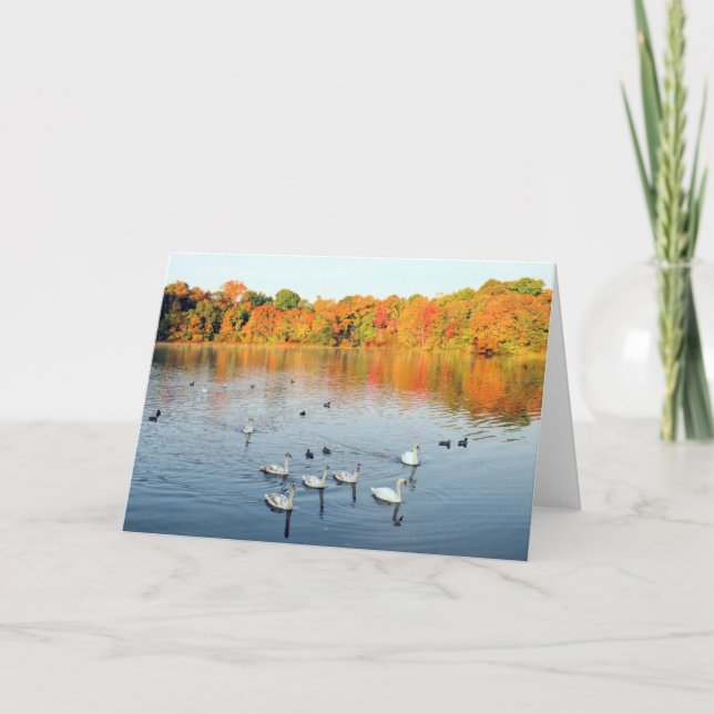 Neun Schwäne Karte (Vorderseite)