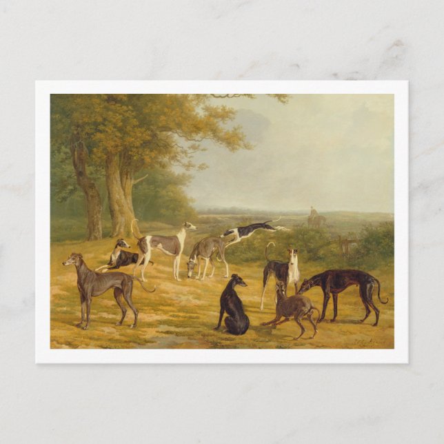 Neun Windhunde in einer Landschaft (Öl auf Postkarte (Vorderseite)