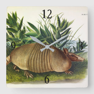 Neunbanded, Armadillo mit langer Nase von Audubon Quadratische Wanduhr