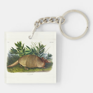 Neunbanded, Armadillo mit langer Nase von Audubon Schlüsselanhänger