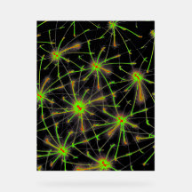 Neural Network Burst – Premium Acrylic Sign
