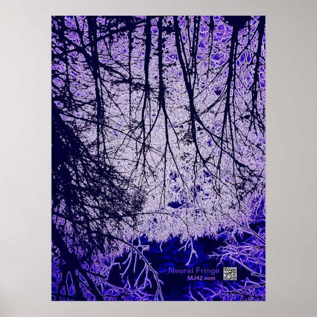 Neuralfalte Poster (Vorne)