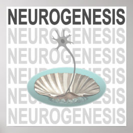 Neurogenese Poster