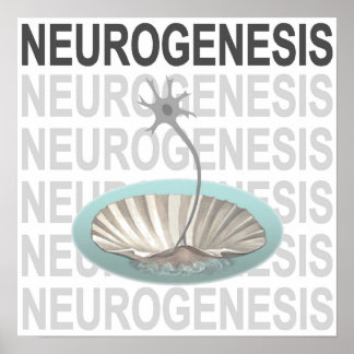 Neurogenese Poster