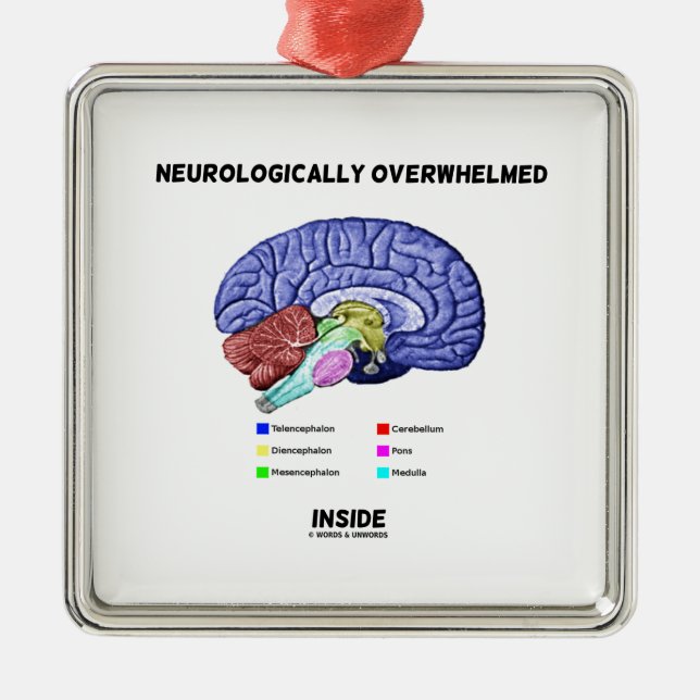 Neurologisch überwältigtes Innere (Gehirn-Spaß) Silbernes Ornament (Vorne)
