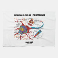 Neurologisches Klempnerarbeit-Innere