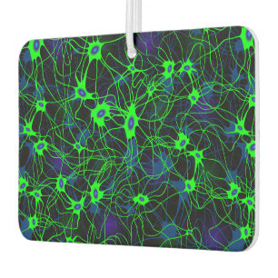 Neuron City Car Freshener Autolufterfrischer