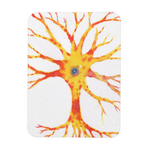 Neuron Magnet