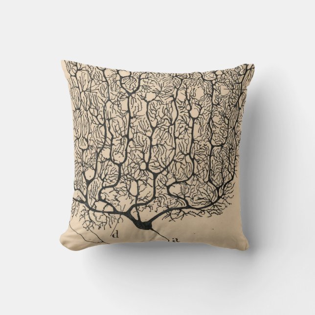 Neuron Zeichnend von Santiago Ramón Y Cajal Kissen (Vorderseite)