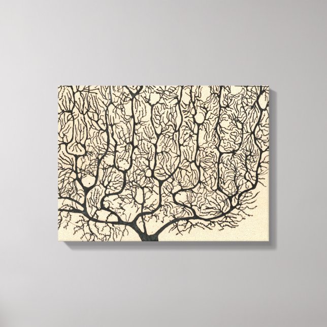 Neuron Zeichnend von Santiago Ramón Y Cajal Leinwanddruck (Vorderseite)