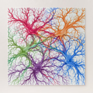 Neuronaler Garten