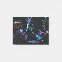 Neuronen
