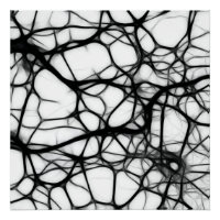 Neuronen