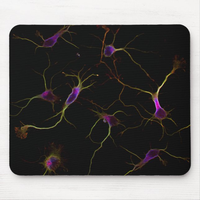 NeuroRootsPad Mousepad (Vorne)