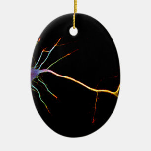 Neuroscience, neuron, science, keramik ornament