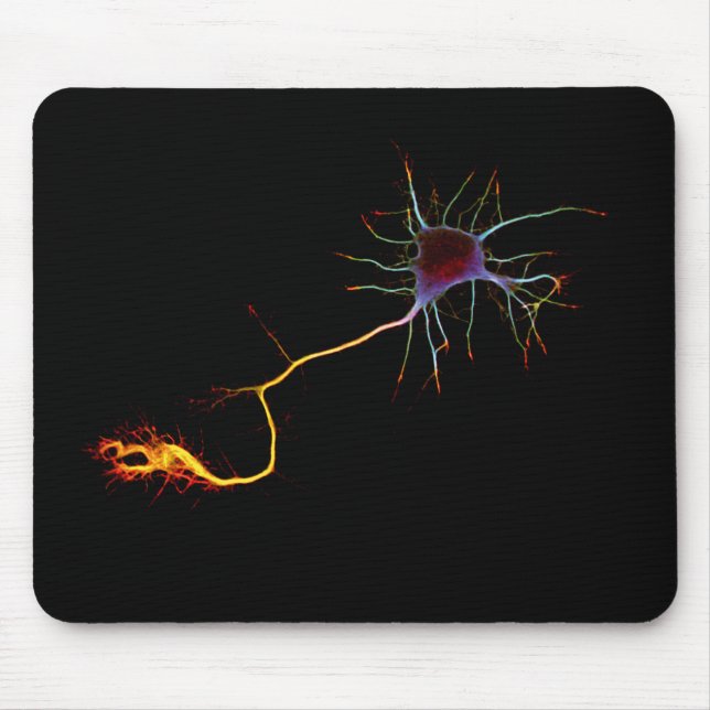 Neuroscience, neuron, science, mousepad (Vorne)