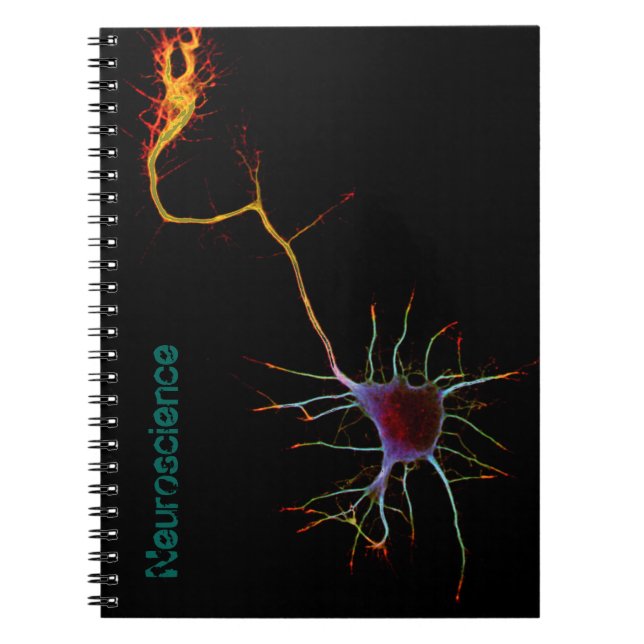 Neuroscience, neuron, science, notizblock (Vorderseite)