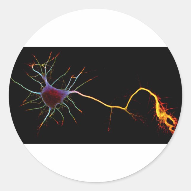Neuroscience, neuron, science, runder aufkleber (Vorderseite)