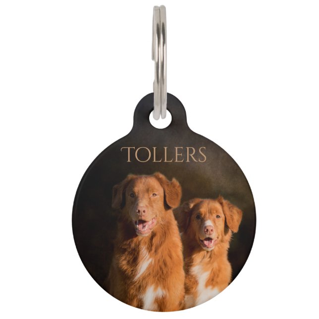 Neuschottland-Enten-läutender Retriever Haustiermarke (Vorderseite)