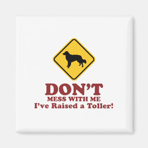 Neuschottland-Enten-läutender Retriever Magnet