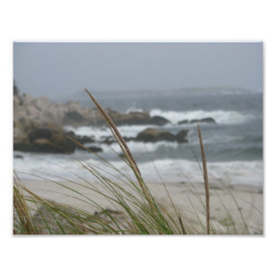 Neuschottland-Strand-Foto Fotodruck