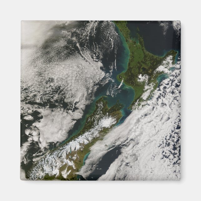 Neuseeland 3 magnet (Vorne)