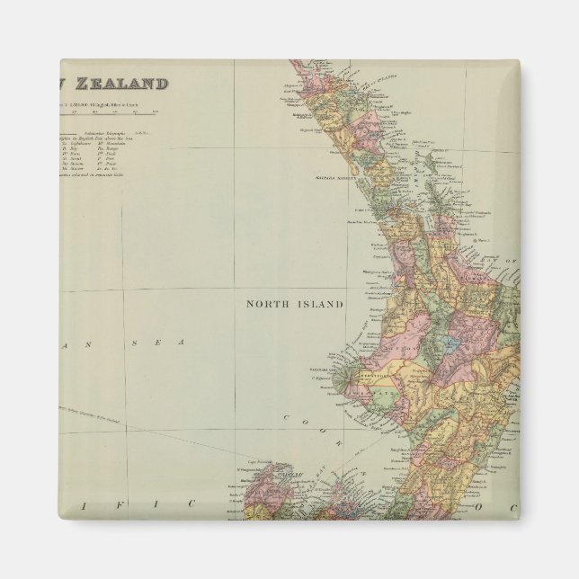 Neuseeland 3 magnet (Vorne)