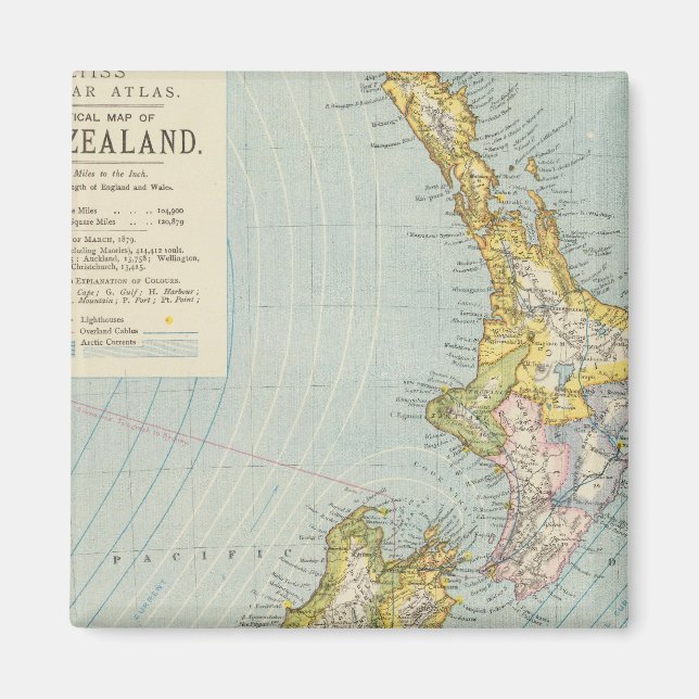Neuseeland 4 magnet (Vorne)