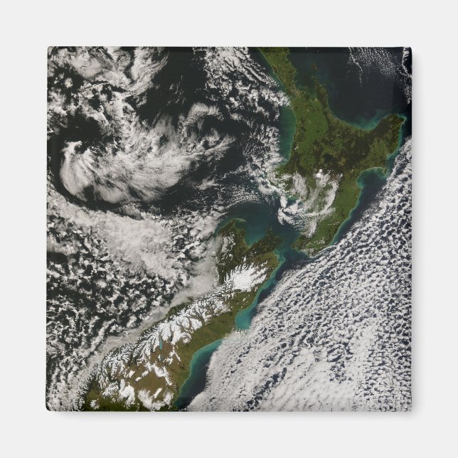 Neuseeland 5 magnet (Vorne)