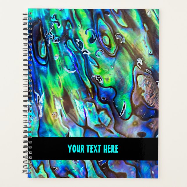 Neuseeland Abalone Paua Muschel Muster 1 Planer (Vorderseite)