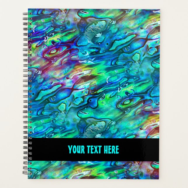 Neuseeland Abalone Paua Muschel Muster 1a Planer (Vorderseite)