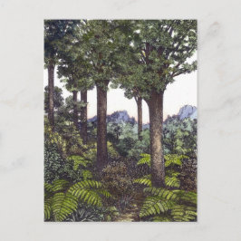 Neuseeland Bush Postkarte