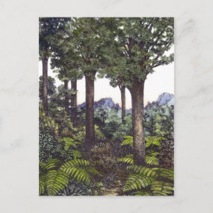 Neuseeland Bush Postkarte