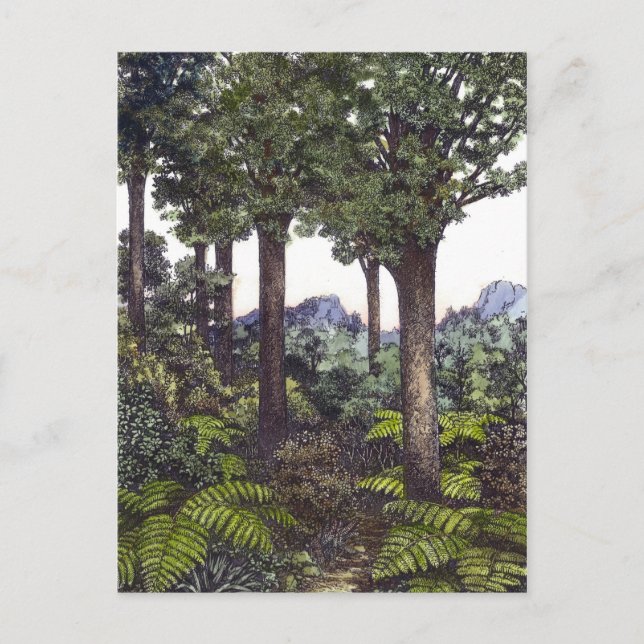 Neuseeland Bush Postkarte (Vorderseite)