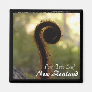 Neuseeland, Farn-Baum, Wildnis (Magnet) Magnet