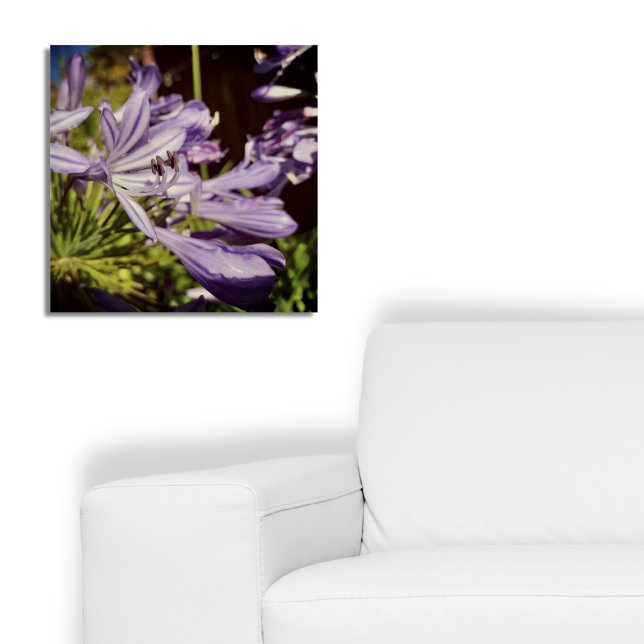 Neuseeland Floral Agapanthus Violet Blossom Poster (New Zealand Floral Agapanthus Violet Blossom Poster, Botanical Summer Bloom)