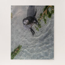 Neuseeland Jigsaw Puzzle - Siegel pup Wharariki