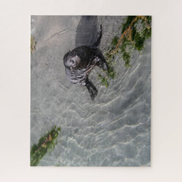 Neuseeland Jigsaw Puzzle - Siegel pup Wharariki