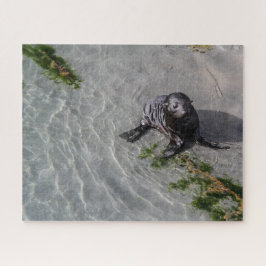 Neuseeland Jigsaw Puzzle - Siegel pup Wharariki