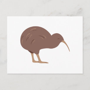 Neuseeland Kiwi Postkarte