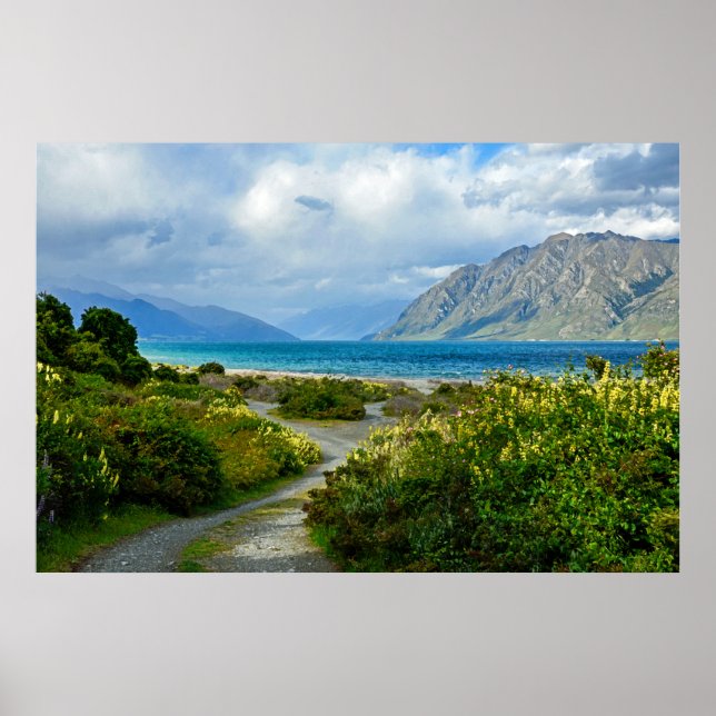 Neuseeland Landschaft Poster (Vorne)
