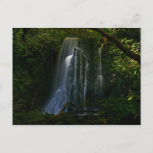 Neuseeland: Matai Falls Postkarte
