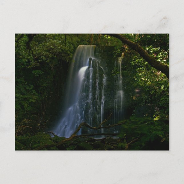 Neuseeland: Matai Falls Postkarte (Vorderseite)